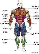 哈兰德第31轮再次进行引热议(哈兰德第31轮再次进行引热议论)